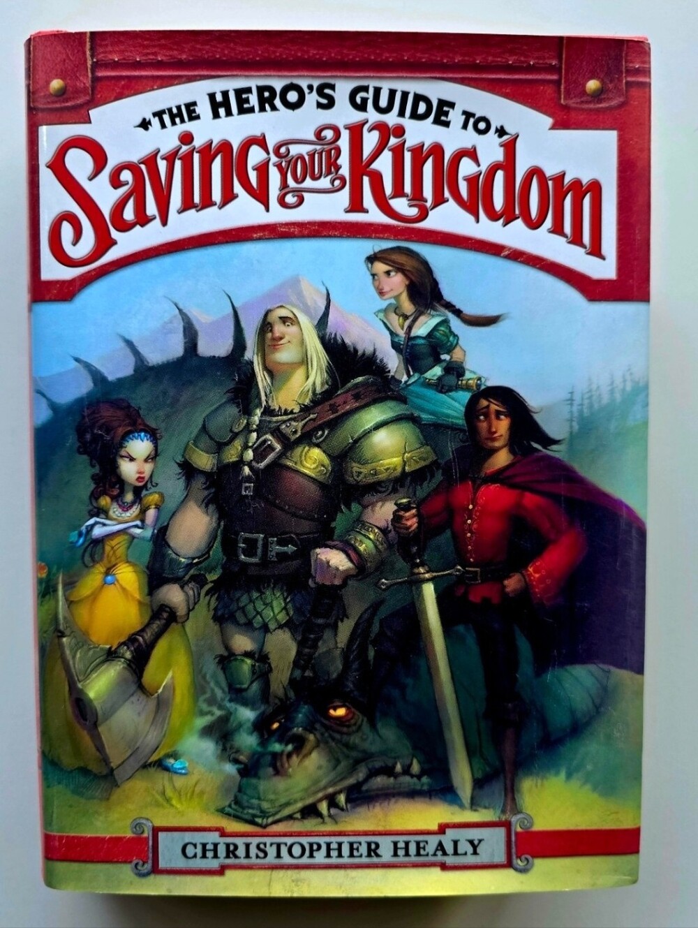 The hero's guide to saving your kingdom hard back Children's book